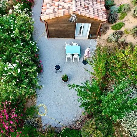 Dağ evi En Montagne Petreto-Bicchisano